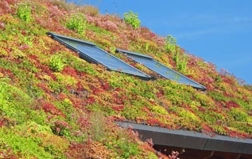 Hayne living roof systems